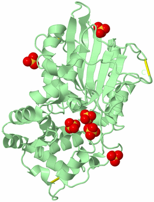 Image Biological Unit 2