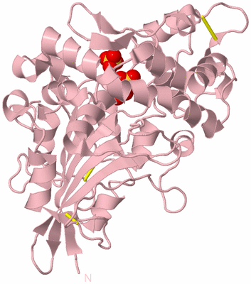 Image Biological Unit 3