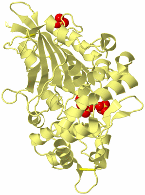 Image Biological Unit 4