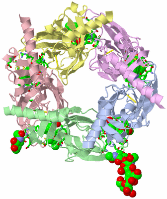 Image Asym./Biol. Unit - sites