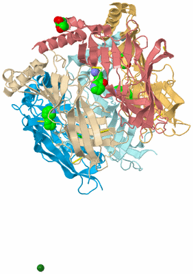 Image Biological Unit 1