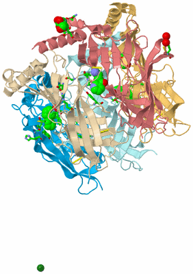 Image Biol. Unit 1 - sites