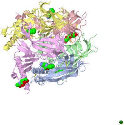 Image Biological Unit 2