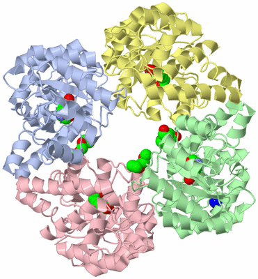 Image Asym./Biol. Unit