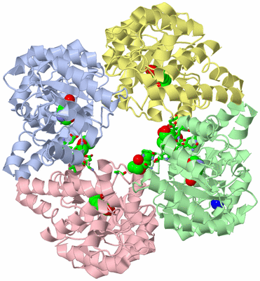 Image Asym./Biol. Unit - sites