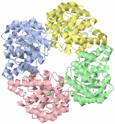 Image Asym./Biol. Unit