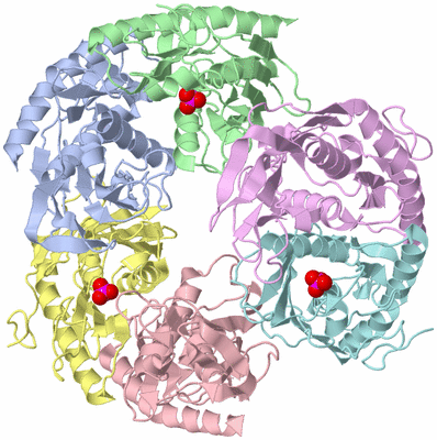 Image Asym./Biol. Unit