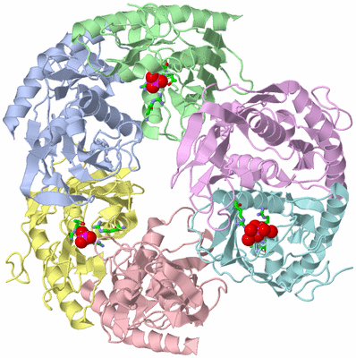 Image Asym./Biol. Unit - sites