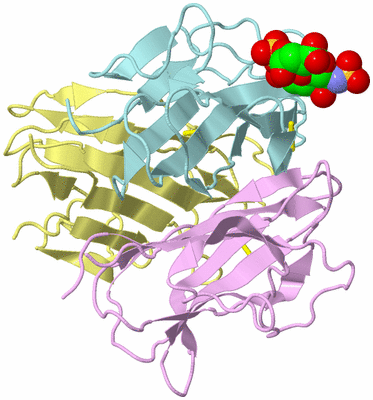 Image Biological Unit 1