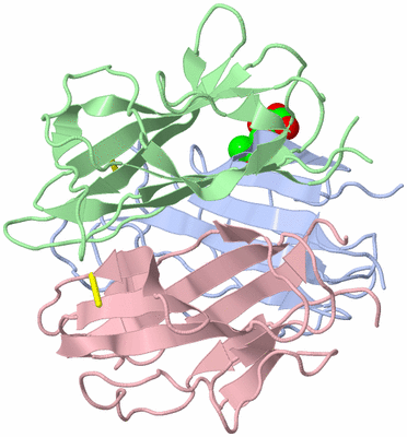 Image Biological Unit 2