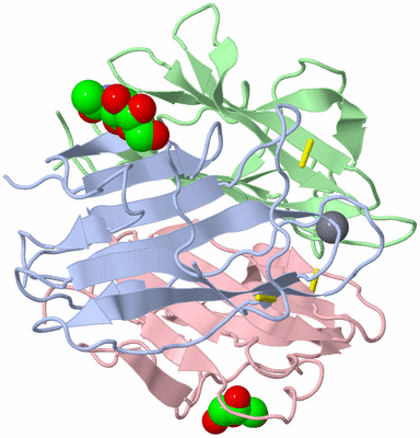 Image Biological Unit 1