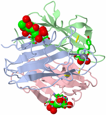 Image Biol. Unit 1 - sites