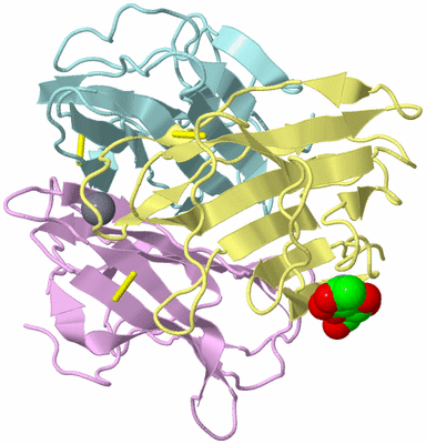 Image Biological Unit 2