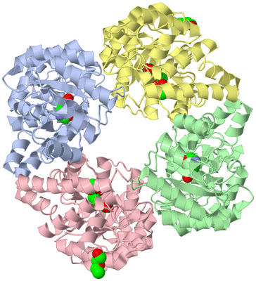 Image Asym./Biol. Unit