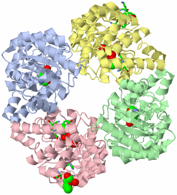 Image Asym./Biol. Unit - sites