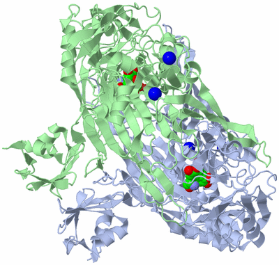 Image Asym./Biol. Unit