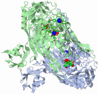 Image Asym./Biol. Unit - sites