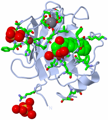 Image Biol. Unit 1 - sites