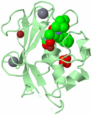 Image Biological Unit 2