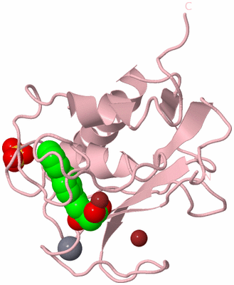 Image Biological Unit 3