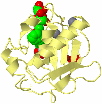 Image Biological Unit 4