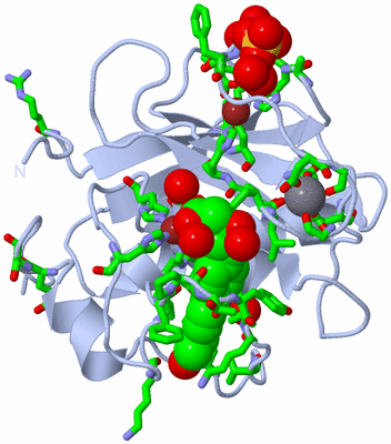 Image Biol. Unit 1 - sites