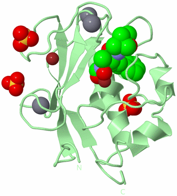 Image Biological Unit 2