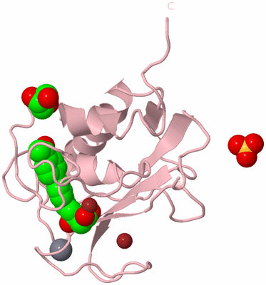 Image Biological Unit 3