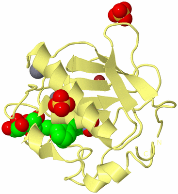 Image Biological Unit 4