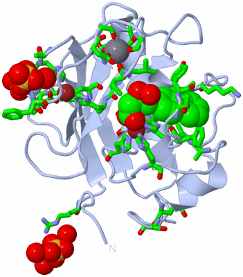 Image Biol. Unit 1 - sites