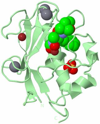 Image Biological Unit 2