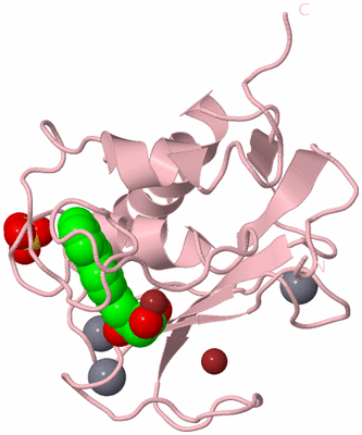 Image Biological Unit 3