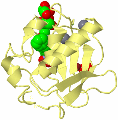 Image Biological Unit 4