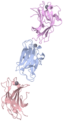 Image Asymmetric Unit