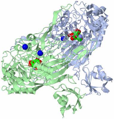 Image Asym./Biol. Unit