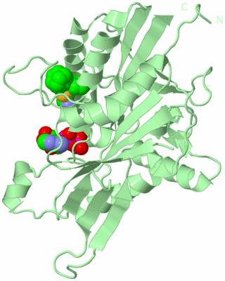 Image Biological Unit 2