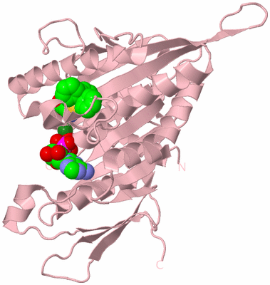 Image Biological Unit 3