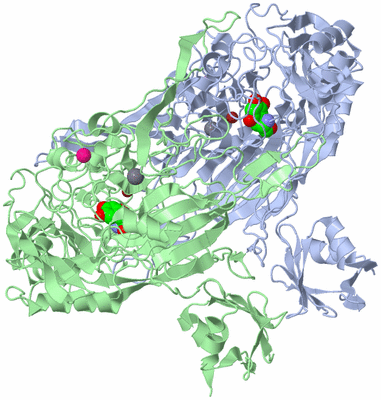 Image Asym./Biol. Unit