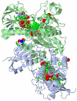 Image Biol. Unit 1 - sites