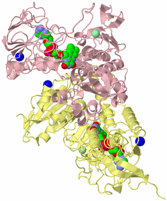 Image Biological Unit 2