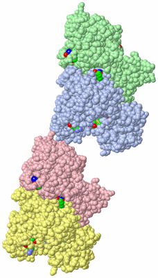 Image Asym. Unit - sites