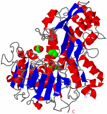 Image Asym./Biol. Unit