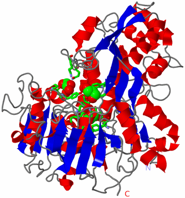 Image Asym./Biol. Unit - sites