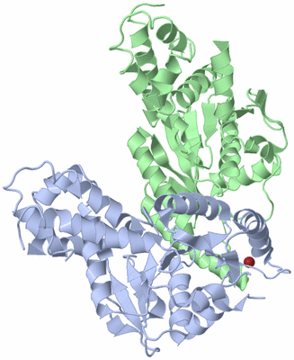 Image Biological Unit 1