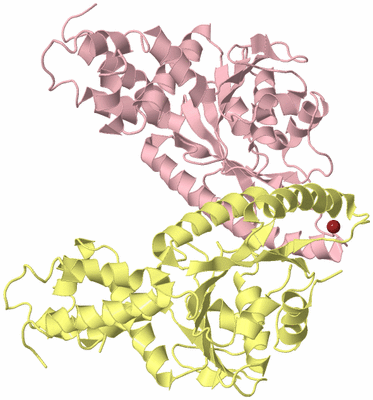Image Biological Unit 2