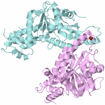 Image Biological Unit 3