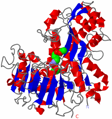 Image Asym./Biol. Unit