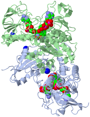 Image Biological Unit 1