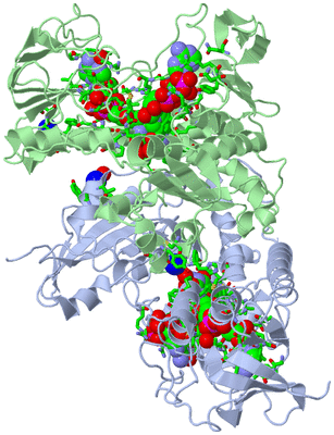 Image Biol. Unit 1 - sites