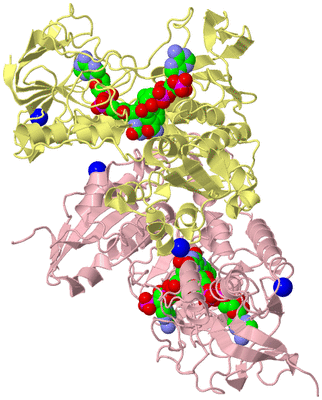 Image Biological Unit 2